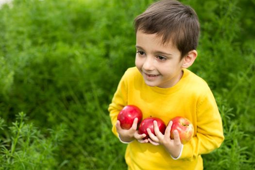 Cute little boy picking apples in a green grass background at sunny day. Healthy nutrition.