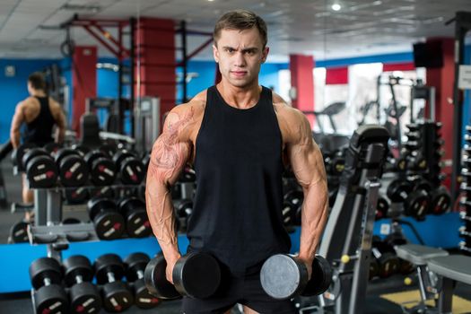 Muscular man working out in gym doing exercises with dumbbells, bodybuilder male
