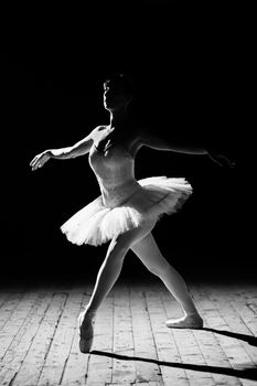 A young beautiful ballerina poses on the stage of the theater
