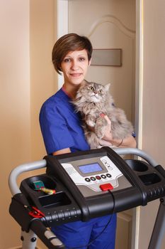 Cute cat at the vet with a happy doctor