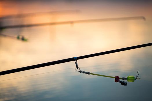 Freshwater fishing with fishing rods on the shore of the pond, lake