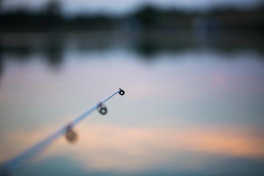 Freshwater fishing with fishing rods on the shore of the pond, lake