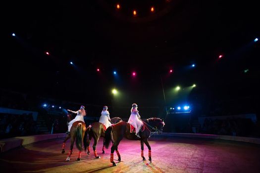 Riding a circus horse. Under the dome of the circus