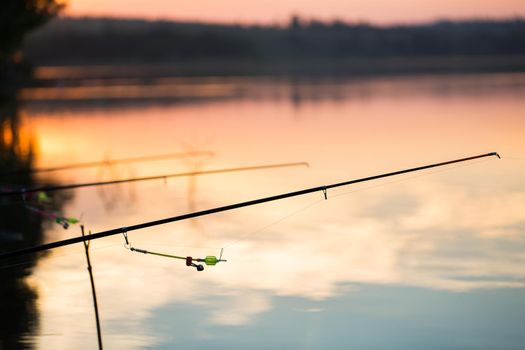 Freshwater fishing with fishing rods on the shore of the pond, lake