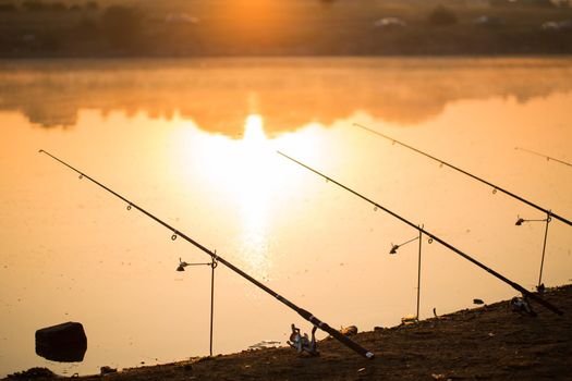 Freshwater fishing with fishing rods on the shore of the pond, lake