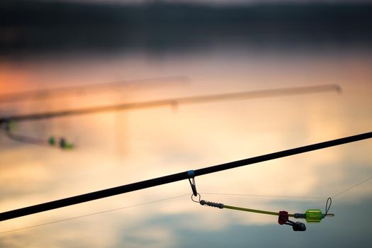 Freshwater fishing with fishing rods on the shore of the pond, lake