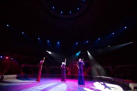 Jugglers in the circus. Clown on stilts