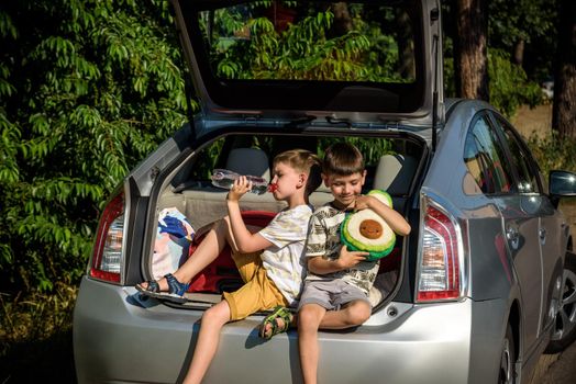 Two happy children boy and his brother sitting together in a car trunk. Cheerful kids hugging each other in family vehicle luggage compartment. Weekend travel and holidays concept.