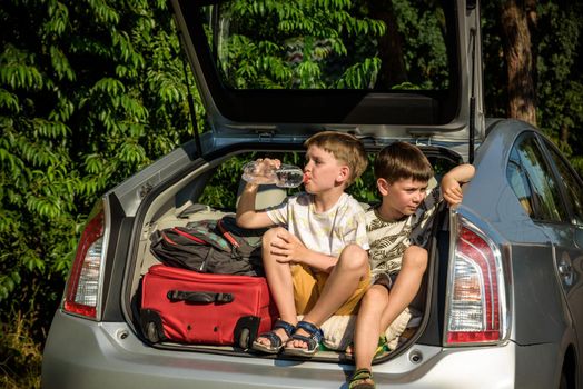 Two cute boys sitting in a car trunk before going on vacations with their parents. Two kids looking forward for a road trip or travel. Summer break at school. Family travel by car.