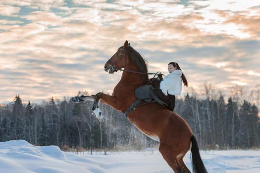 A girl in a white cloak rides a brown horse in winter. Golden hour, setting sun. The horse rears up.