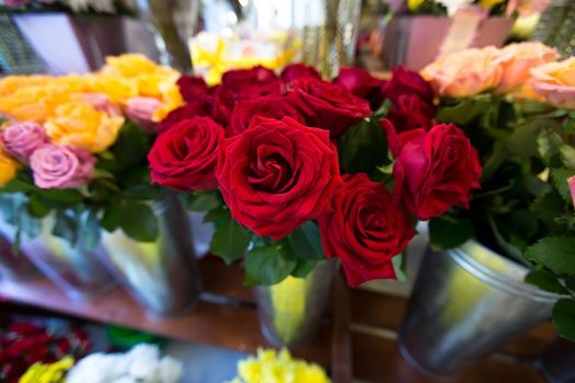 Beautiful colorful flowers in a flower shop