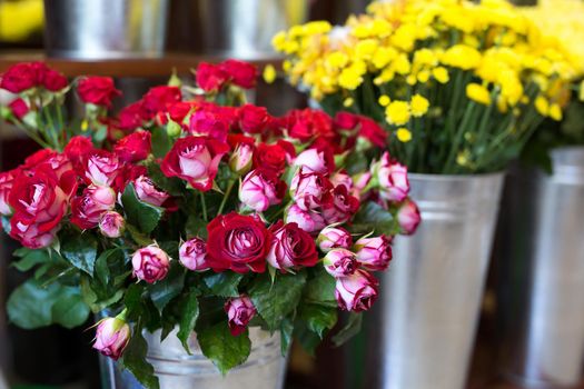 Beautiful colorful flowers in a flower shop