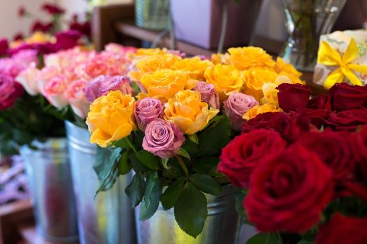 Beautiful colorful flowers in a flower shop