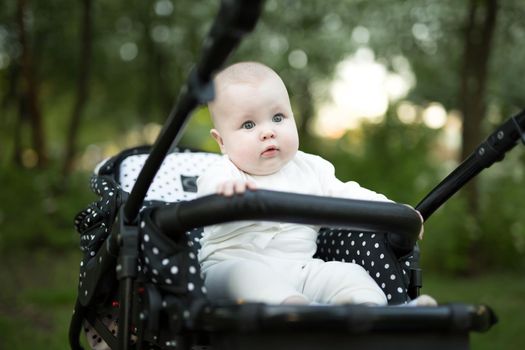 Portrait of a baby in a stroller