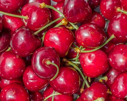 Close up of pile of ripe cherries with stems. Big collection of fresh red cherries. Ripe cherries background.