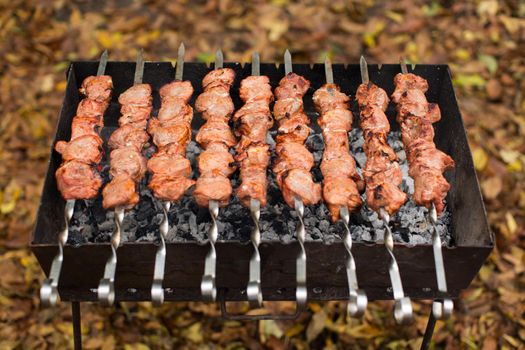 Meat roasted on fire barbecue kebabs on the grill