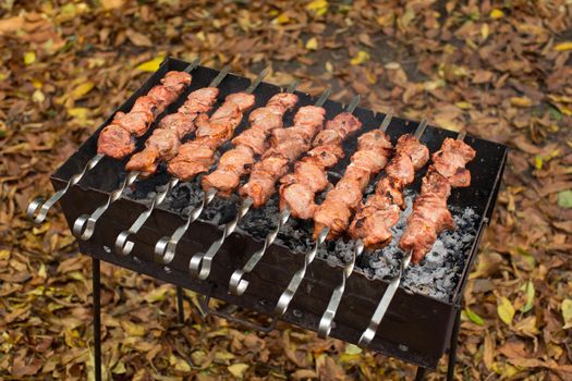 Barbecue Grilled pork kebabs meat lamb kebab marinated caucasus barbecue meat shashlik shish kebab outdoors picnic, soft selective focus , series