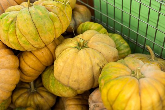 Pile of pumpkins at supermarket , fruit and vegetable zone.