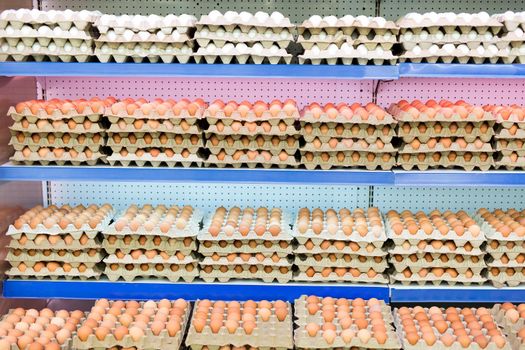 Variety brand of Eggs pack on shelves in a supermarket.