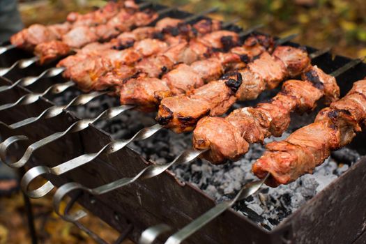 Meat roasted on fire barbecue kebabs on the grill