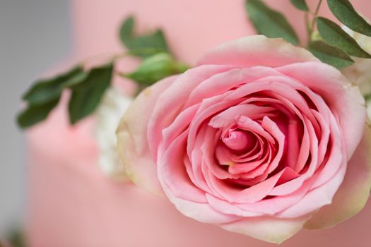 Delicate pink wedding cake with fresh flowers.