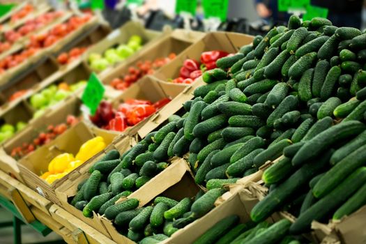 Lots of Vegetables in the Produce aisle at a Supermarket