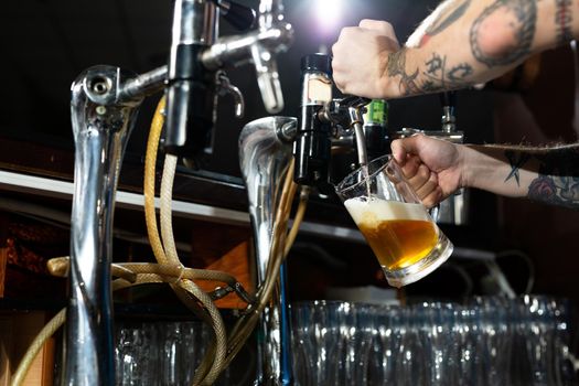 Draft beer pour in a glass from the crane. Waiter pours beer in a pub