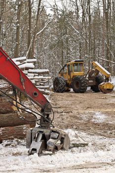 Log or Logging Skidder and Knuckleboom loader with Freshly Harvested and piled timber logs by Forest in Winter. High quality photo.