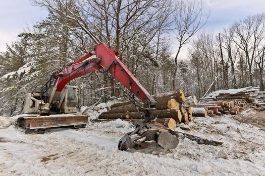 Knuckleboom Log loader with Freshly Harvested and piled timber logs by Forest in Winter. High quality photo.