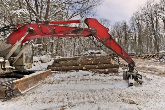 Close up of Knuckleboom Log loader with Freshly Harvested and piled timber logs by Forest in Winter. High quality photo.