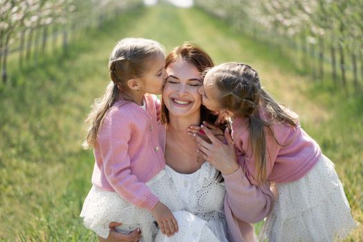 Portrait of a mother and her twin daughters in a blooming Apple orchard. Girls kiss their mother.