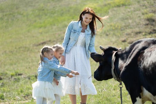 Young mother and her twin daughters feed a black cow in a meadow in the village.