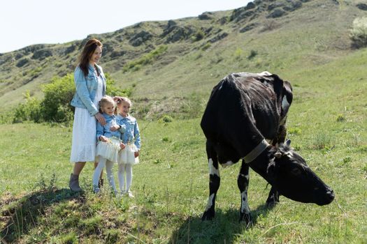 A young mother and her twin daughters look at a black cow in a meadow in the village.
