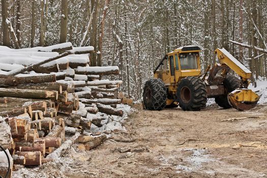 Log or Logging Skidder with Freshly Harvested and piled timber logs by Forest in Winter. High quality photo.