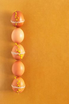 decorated mimosa flowers beige chicken eggs in a row, symbol of Easter, copy space