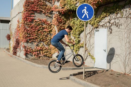 Teenage BMX rider is performing tricks in skatepark