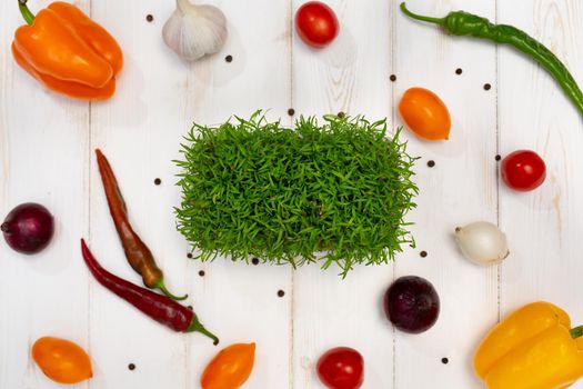 White wooden background of cooking. Spices, vegetables and sprouts, carrots, microgreen. Top view.