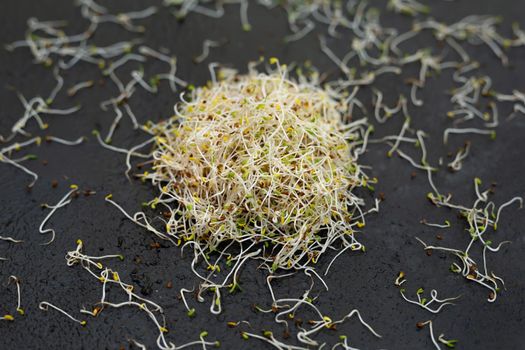 A closeup shot of fresh and raw alfalfa sprouts