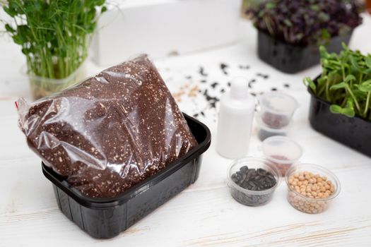 Grow microgreens. A set of seeds of different plants t soil in a box. Urban gardening. Hobby.