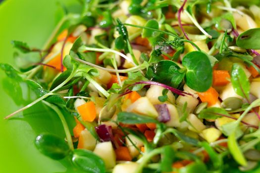 Vitamin salad with vegetables and microgrin on a green plate