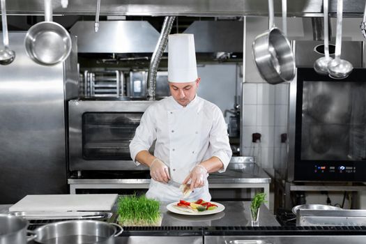 Male chef garnishing food in the kitchen