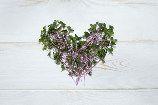 Sprouts of fresh red cabbage, cut stems on a white heart-shaped tree, top view. Micro-green Kohlrabi plants.