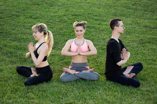 Mature healthy people doing yoga at park. Group people exercising on green grass