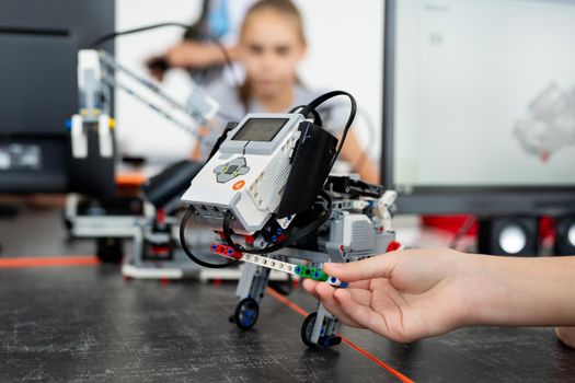 Children play with a robot dog in a robotics lesson