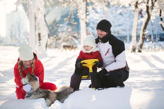 Portrait of a happy family in a winter park. Dad, mom, son and dogs pose in the snow on a sunny day.