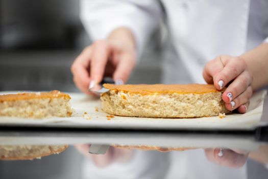 Pastry chef cuts a biscuit to assemble the cake.