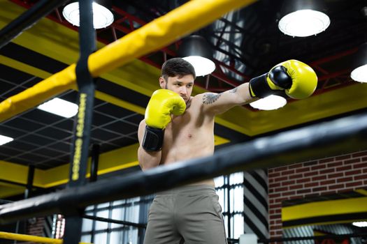 Collected sportsman in the boxing hall practicing boxing punches during training