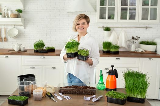 Microgreen in female hands, raw food, ecofrendli, superfood. Organic food growing, home kitchen gardening, microgreen.