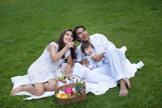 Family picnic of a happy family in the park on a green lawn.