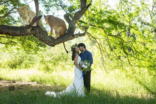 Beautiful bride and groom with two lionesses in nature
